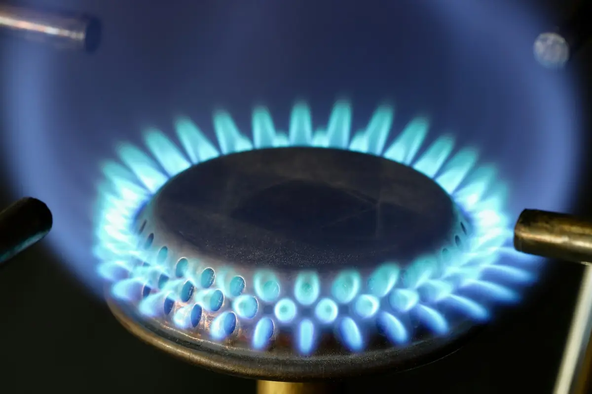 A ring of blue gas flame on a cooker